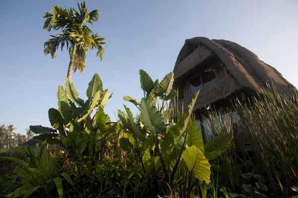 Ubud Hidden Villa Yone village Exteriör bild