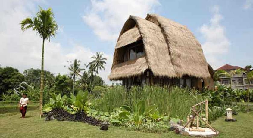 Ubud Hidden Villa Yone village Rum bild