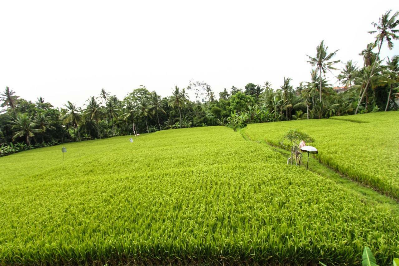 Ubud Hidden Villa Yone village Exteriör bild